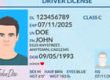 Driver's license