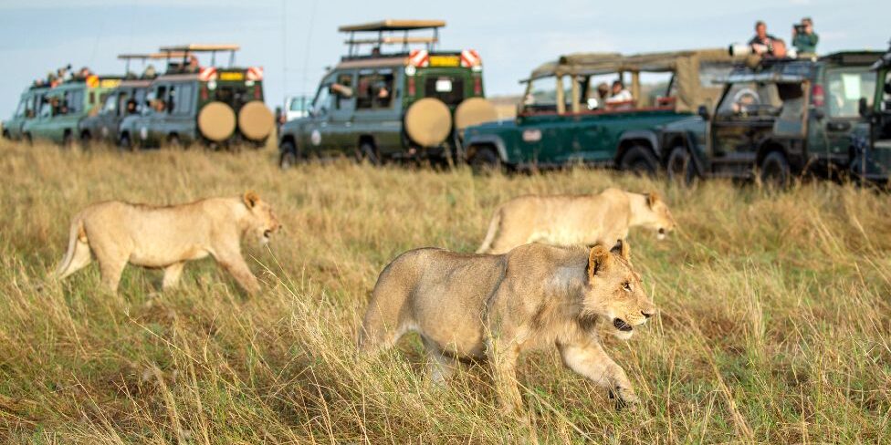 Game Drive Masai Mara Kenya