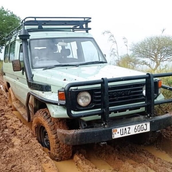 4WD Safari Land Cruiser